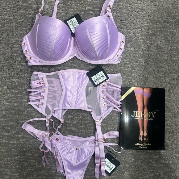 Honey Bridgette “ Jerry” 4 piece lingerie set. NWT 34DDD.M garter, M thong. - Picture 4 of 8